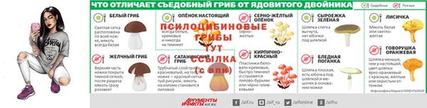 индика Покров