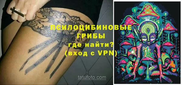 индика Покров