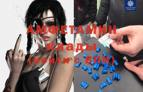 прущие грибы Приозерск