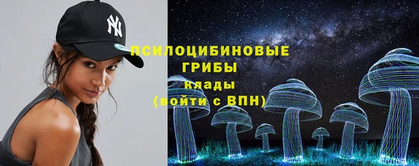 шишки Покровск