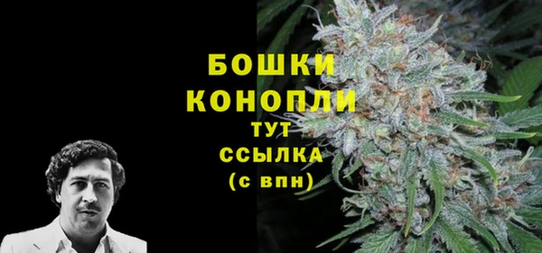 прущие грибы Приозерск