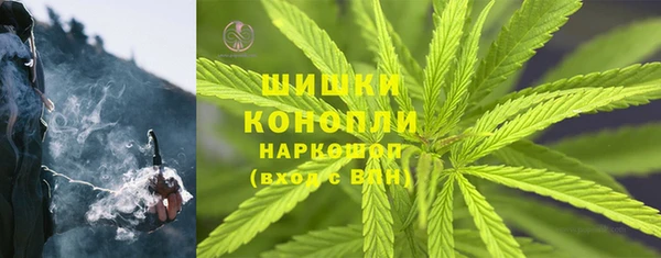 индика Покров