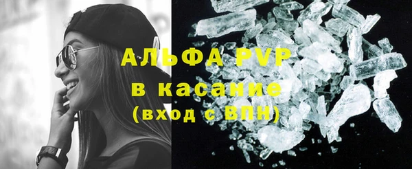 индика Покров