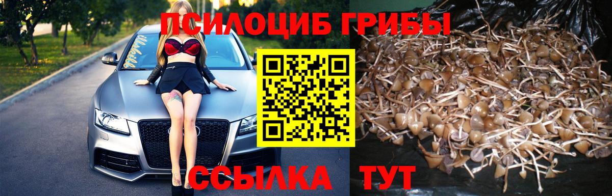 Галлюциногенные грибы мицелий  купить наркотик  Санкт-Петербург  Вход с VPN  Галлюциногенные грибы GOLDEN TEACHER 